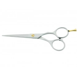 Professional Barber scissors