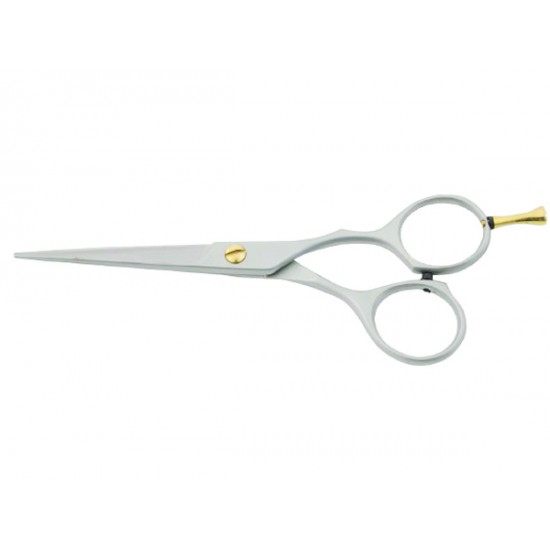 Professional Barber scissors