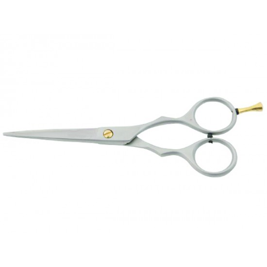 Professional Barber scissors