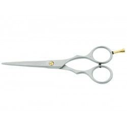 Professional Barber scissors