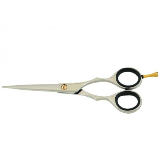 Professional Barber scissors