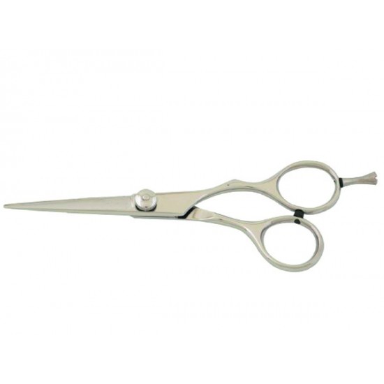 Professional Barber scissors