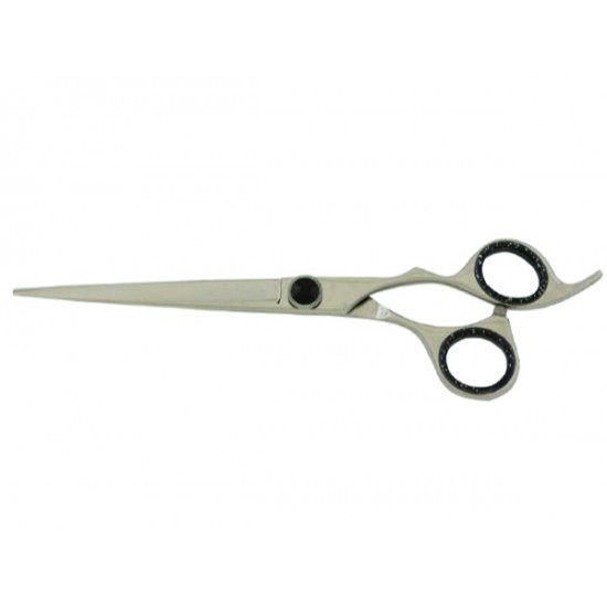 Professional Barber scissors