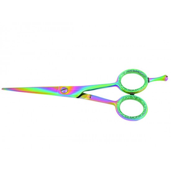 Professional Barber scissors