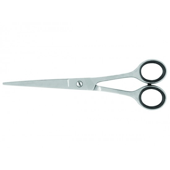 Professional Barber scissors