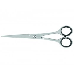 Professional Barber scissors