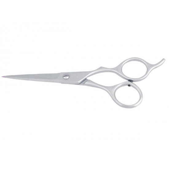 Professional Barber scissors