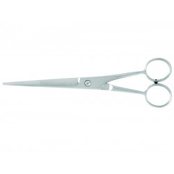 Professional Barber scissors