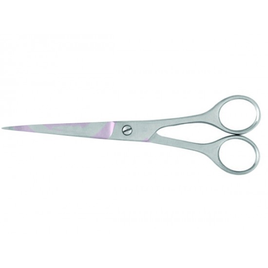 Professional Barber scissors