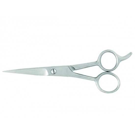 Professional Barber scissors