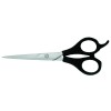 Plastic Handle Scissors