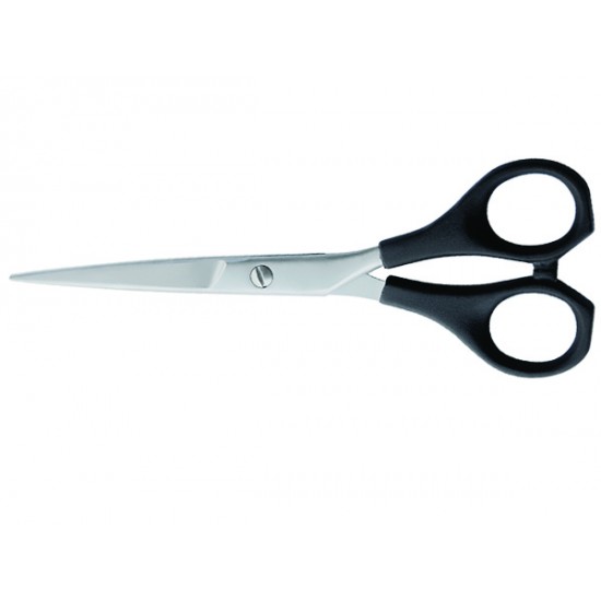 Plastic Handle Scissors