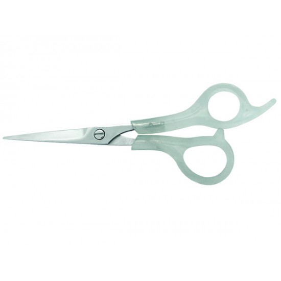 Plastic Handle Scissors