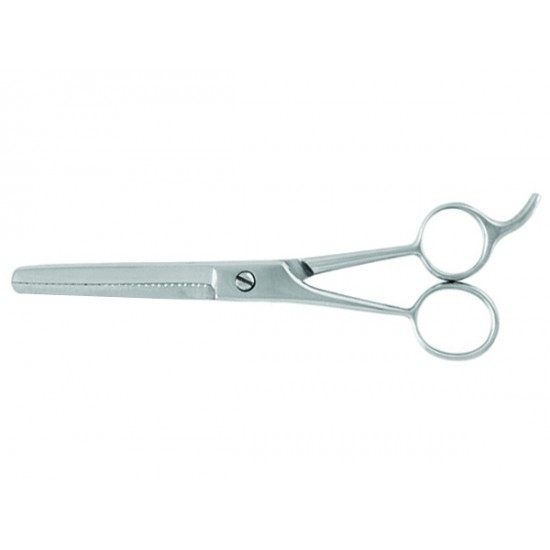 Professional Thinning Scissors